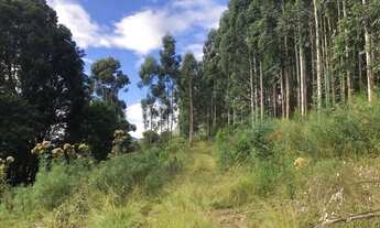 Imagem 2: Atenção Investidor !!