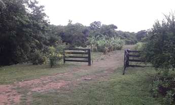 Imagem: Sítio na região da serragem sentido Cáceres