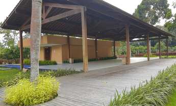 Imagem 3: Terra viva da aldeia