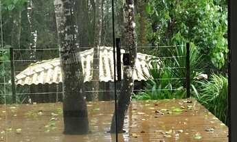 Imagem 4: Junto da natureza