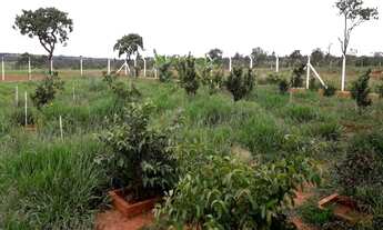 Imagem 4: Que tal aquela casa de campo dentro da cidade? Chácara em Uberlândia - MG com 20.000m² em