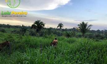 Imagem 6: FAZENDA À VENDA EM NOVO REPARTIMENTO - PA- 1868 HECTARES (DUPLA APTIDÃO