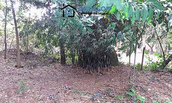 Imagem 3: Lote/Terreno/Parque dos Lagos/Alta Floresta