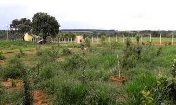 Imagem 3: Que tal aquela casa de campo dentro da cidade? Chácara em Uberlândia - MG com 20.000m² em