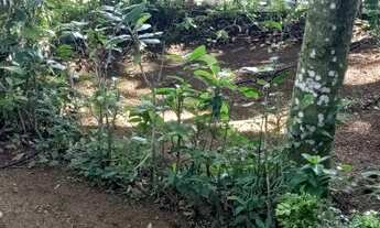 Imagem 5: Lote/Terreno para venda possui 3000 metros quadrados