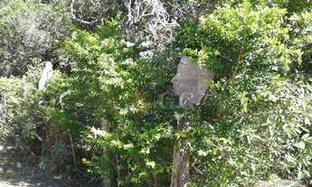 Imagem 4: Terrenos a 25mil em Itapuã