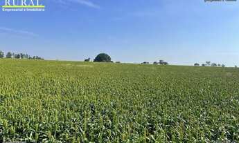 Imagem 7: Fazenda/Sítio/Chácara para venda tem 788900 metros quadrados com 3 quartos