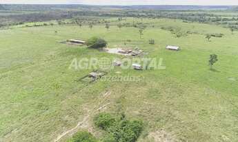 Imagem: Fazenda no Pará - Paragominas - 118 ha