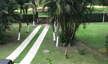 Imagem 7: Sítio impecável para venda de 8.400m² com 6 quartos (excelente localização