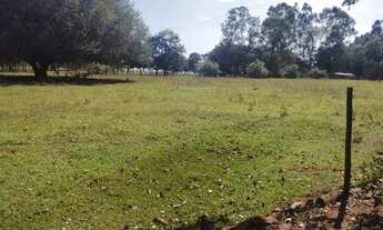 Imagem 4: Chácara 8 hectares. Jaraguari MS