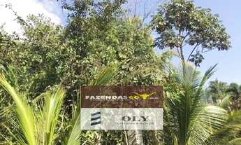 Imagem 4: Chácara Premium ! Condomínio em Trindade ! 5 mil metros !