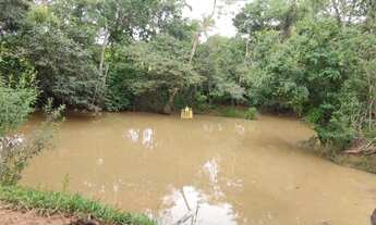 Imagem: Fazendinhas na regiao de Divinopolis