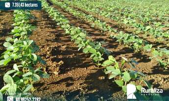 Imagem: Fazenda em exploração agrícola no vale