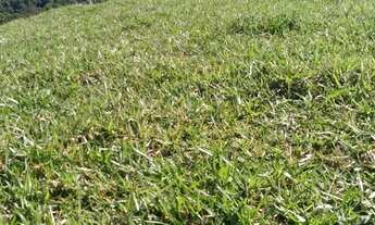 Imagem 5: Fazenda/Sítio/Chácara para venda possui 1210000 metros quadrados com 2 quartos