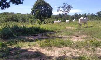 Imagem 6: Fazenda região do chumbo