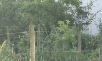 Imagem 2: Lotes no Veredas