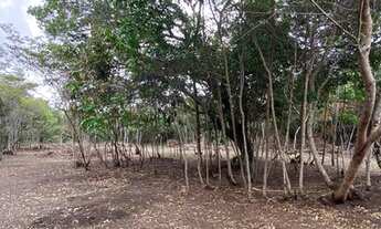 Imagem 4: Terreno bem próximo da Padaria Recanto Verde