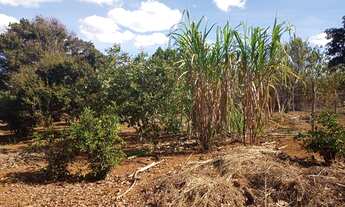 Imagem 3: Ot,chac,5000mts com cs 03 qts a 7 kms de brazlandia poço artesiano a/c,imovel e carro so 2