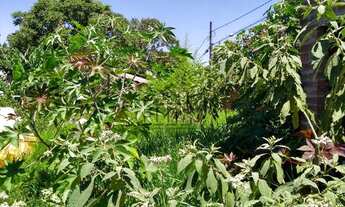 Imagem 2: Terreno com 3 Dormitorio(s) localizado(a) no bairro Campestre em São Leopoldo / RIO GRAND