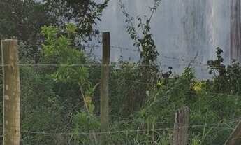 Imagem 3: Lotes no Veredas