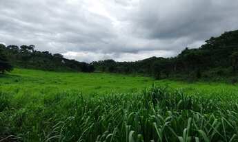 Imagem: Fazenda para Venda em Dianópolis