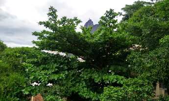 Imagem 4: Apartamento para venda tem 114 metros quadrados com 3 quartos em Botafogo - Rio de Janeiro