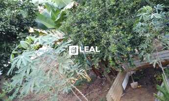 Imagem 2: 2744 Ref. Terreno à venda em Matias Barbosa