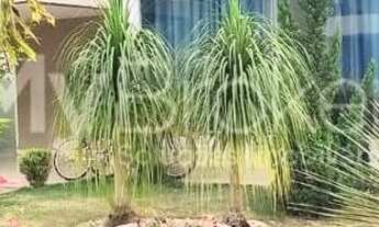 Imagem 11: Linda Casa no Jardins Lisboa