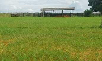 Imagem 7: Fazenda região manso sentido bom jardim