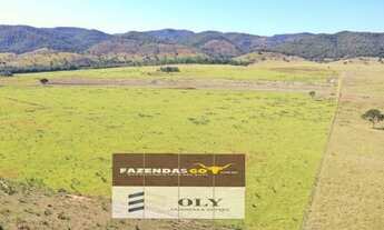 Imagem: Fazenda Impecável em Uruaçu ! 203 Alqueires