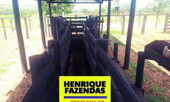 Imagem 6: Fazenda região de Cristalândia 140 alqueires