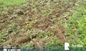 Imagem 3: Fazenda para pecuaristas na região de Cristalândia - TO