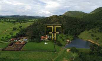 Imagem 3: Fazenda 300 Alqueires, Goianésia, GO