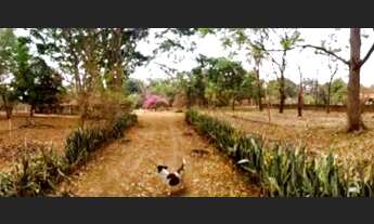 Imagem 2: Fuja do estresse e venha pra esse refúgio na natureza! Excelente Chácara com área de 10.00