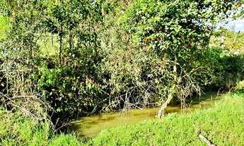 Imagem 6: Área de terras com 6,4 hectares, dos quais 3,0 hectares com videiras