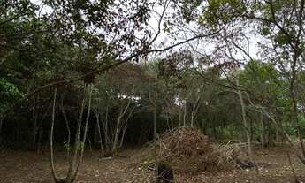 Imagem 6: Terreno bem próximo da Padaria Recanto Verde