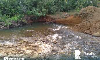 Imagem 4: Fazenda para pecuária na região de Tabocão - TO