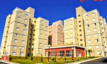 Imagem 2: PIRACICABA - Padrão - Água Branca