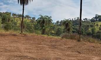 Imagem: Terreno de 10.000m2 com nascente e luz em