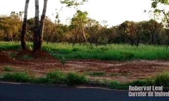 Imagem 3: Terreno com 242m² no asfalto na Vila Aimorés