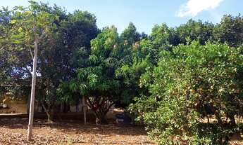 Imagem 4: Ot,chac,5000mts com cs 03 qts a 7 kms de brazlandia poço artesiano a/c,imovel e carro so 2