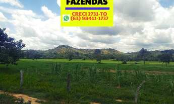 Imagem 2: Fazenda região de Cristalândia 140 alqueires