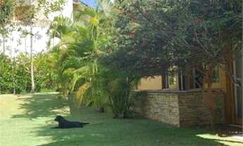 Imagem 5: Casa para venda possui 580 metros quadrados com 3 quartos em Jardim Guedala - São Paulo