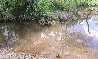 Imagem 6: Terreno 28 Hectares em Passa Tempo Rico em Agua
