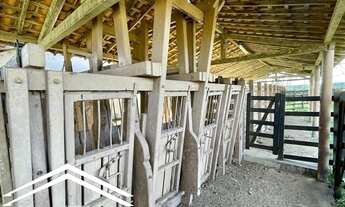 Imagem: Propriedade de 263 hectares em Pombos PE