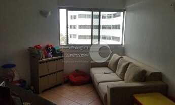 Imagem: SãO PAULO - Padrão - Butantã