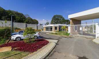 Imagem 3: Terreno no São Braz