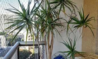 Imagem 2: Tijuca ao do Shopping Tijuca,003 quartos