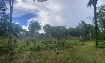 Imagem 4: Troco terreno/sitio/chácara na AM 010 km 52