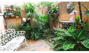 Imagem 7: JLMDSM 285 Casa 601331008-4